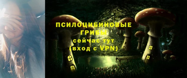 ECSTASY Армянск
