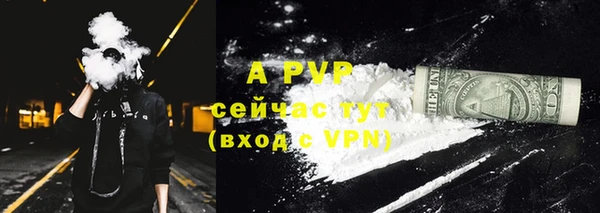 ECSTASY Армянск