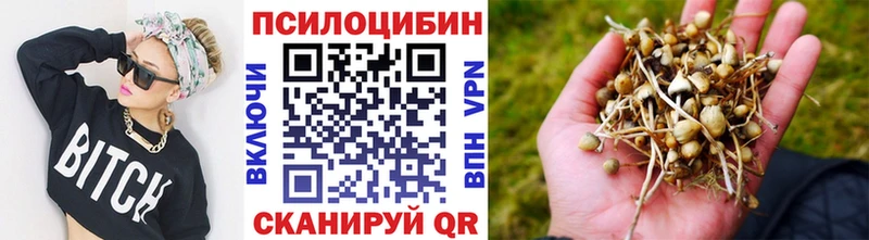 Псилоцибиновые грибы MAGIC MUSHROOMS  как найти закладки  shop состав  Каневская 